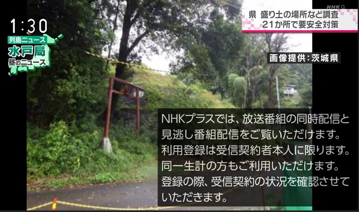 大河ドラマ「光る君へ」見逃し配信が見られるNHKプラスの利用方法と料金、受信料