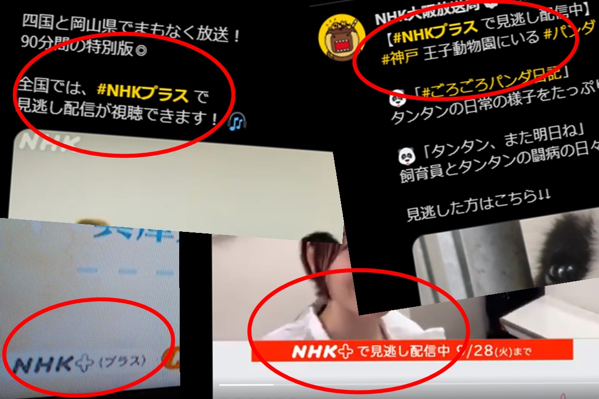 NHK番組のインターネット見逃し配信「NHKプラス」とは？必要な料金・受信料、利用方法（使い方・始め方）について